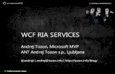 Silverlight in WCF RIA Services