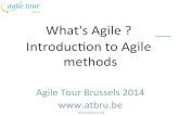 What's Agile ? Introduction to Agile methods