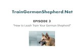 Tell Me How to Train a German Shepherd