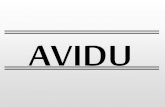 Statshuset Avidu Group 2010  -Kunden-