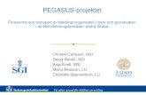 Pegasus projektet-christel carlsson