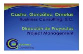 Direccion de Proyectos - CGO