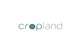 Cropland - data driven decision