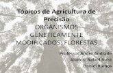 Organismo geneticamente modificados: Florestas