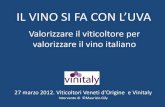Valorizzare il viticoltore per valorizzare il vino italiano, di Maurizio Gily