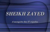 Sheikh zayed-