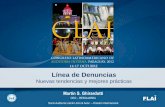 Presentación Línea de Denuncias - Martín Ghirardotti - CLAI 2012