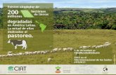 #WorldSoilDay / 200 millones de hectáreas son degradados en América Latina