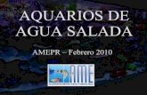 AMEPR Aquarios De Agua Salada