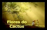 Flores do-cactus