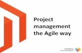 Project managemen, the agile way