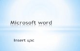 Microsoft word2