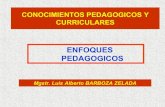 Labz pedagogia curricular