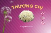 Thuong chi tang chi huong