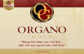 Organo Gold Viet Nam