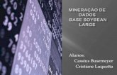 Mineração de Dados na Base Soybean Large