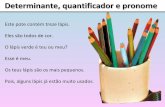 aprende português os os determinantes, quantificadore e os pronomes