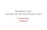 Miniature Turk