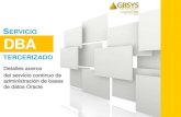 GBSYS Tercerización Servicios DBA - 2013