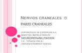 Nervios craneales  o pares craneales