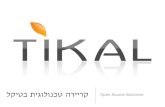Tikal Career