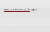 Energy Biomass