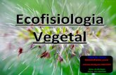 Ecofisiologia Vegetal - Botânica