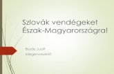 Buzás Judit - Szlovák vendégeket Észak-Magyarországra!