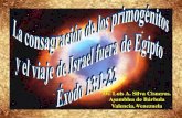 CONF. EXODO 13:1-22. (EX. No. 13). LA CONSAGRACION DE LOS PRIMOGENITOS Y EL VIAJE DE LOS ISRAELITAS FUERA DE EGIPTO