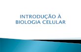 Introduçao biologia celular