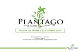 Plantago Associazione Culturale - Attività 2014