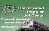 Presentacion Practicas Agroindustriales I 2009