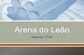 Arena do Leão