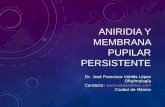 Aniridia y membrana pupilar persistente