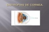 Distrofias de cornea