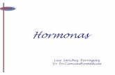 Hormonas 3 (1)