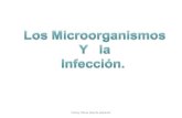 Los microorganismos y la infecci¢n