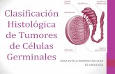 Clasificación histológica de tumores de células germinales