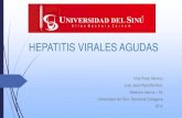 Hepatitis virales agudas