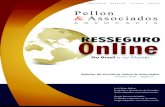Resseguro online no brasil e no mundo   pellon & associados