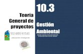 10.3 teoría de proyectos