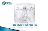 Biofísica - Biomecânica