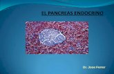 El páncreas endocrino 2011