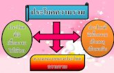 งานนำเสนอ1ภาษาไทย(ประโยคความรวม) (2)