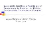 Evaluación Ecológica de un remanente de Bosque en Huigra, Provincia de Chimborazo, Ecuador.
