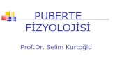 Puberte fizyolojisi (fazlası için  )