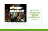 Tarea n°02 PROBLEMAS AMBIENTALES Y CAMBIO CLIMÁTICO EN EL PERU