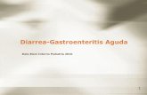Diarrea Gastroenteritis Aguda Ita 3