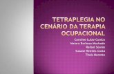 Tetraplegia e a Terapia Ocupacional