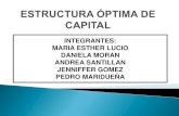 Estructura óptima de capital